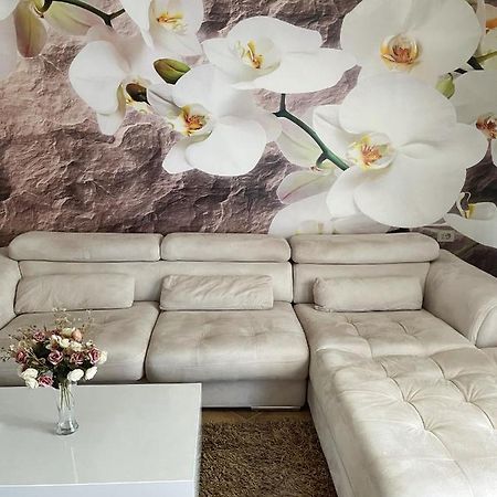 Sunkissed Centre Apartment Vlorë Eksteriør bilde