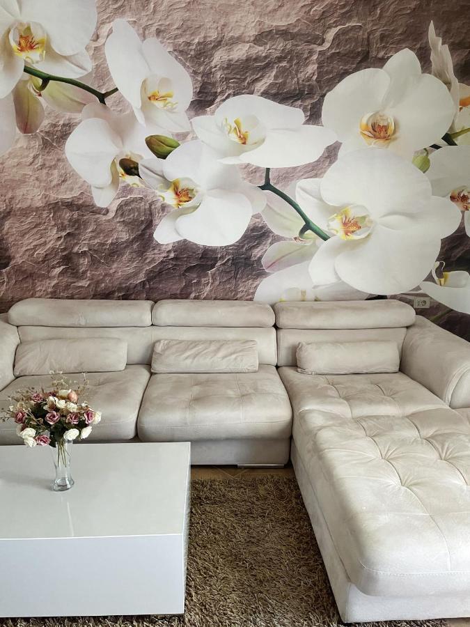Sunkissed Centre Apartment Vlorë Eksteriør bilde